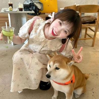 恶犬之下 在线观看